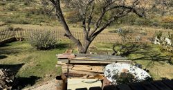 4 Bedroom House for SALE in Fochville