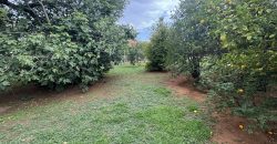 4-bedroom low-maintenance House for SALE in Fochville.